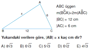 aciortay_kenarortay _konu_testi_6_011