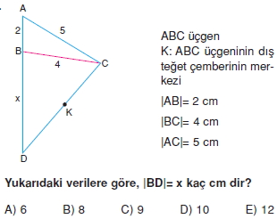 aciortay_kenarortay _konu_testi_6_013