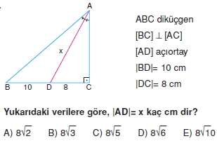 aciortay_kenarortay _konu_testi_6_015