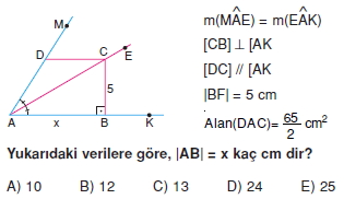 aciortay_kenarortay _konu_testi_7_001