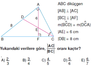 aciortay_kenarortay _konu_testi_7_006