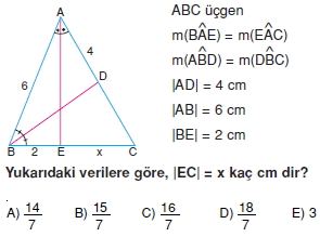 aciortay_kenarortay _konu_testi_7_008