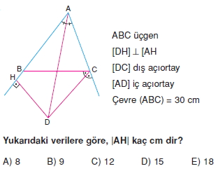 aciortay_kenarortay _konu_testi_7_015