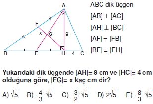 aciortay_kenarortay _konu_testi_8_004