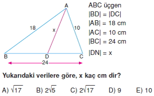 aciortay_kenarortay _konu_testi_8_005