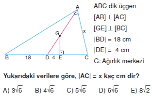 aciortay_kenarortay _konu_testi_8_008