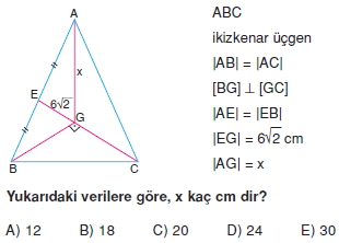 aciortay_kenarortay _konu_testi_8_009