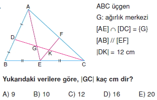 aciortay_kenarortay _konu_testi_8_015