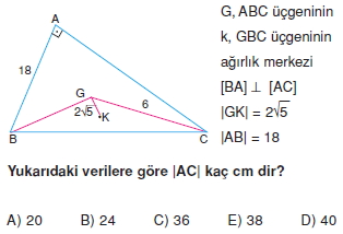 aciortay_kenarortay _konu_testi_9_008