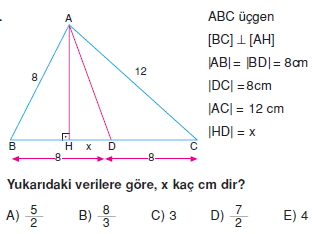 aciortay_kenarortay _konu_testi_9_011