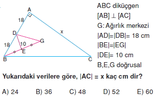 aciortay_kenarortay _konu_testi_9_012