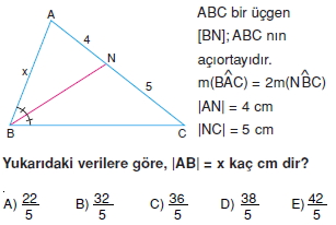 aciortay_kenarortay_cozumlu_test_II_003