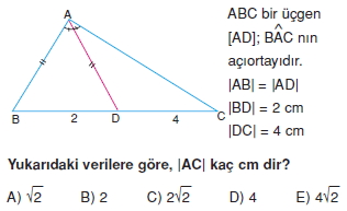 aciortay_kenarortay_cozumlu_test_II_006