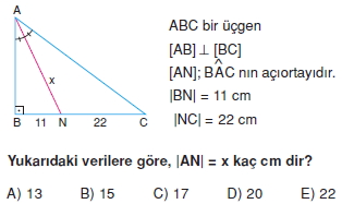 aciortay_kenarortay_cozumlu_test_II_008