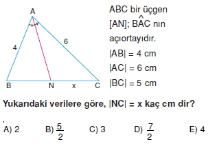 aciortay_kenarortay_cozumlu_test_II_011