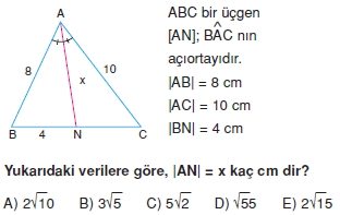 aciortay_kenarortay_cozumlu_test_II_012