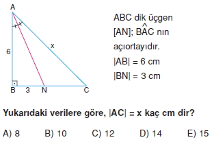 aciortay_kenarortay_cozumlu_test_II_013