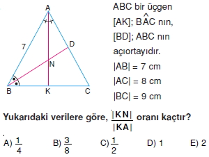 aciortay_kenarortay_cozumlu_test_II_014