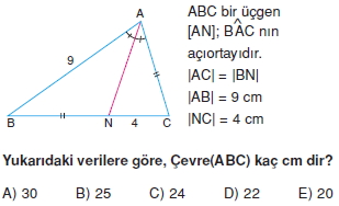 aciortay_kenarortay_cozumlu_test_II_015