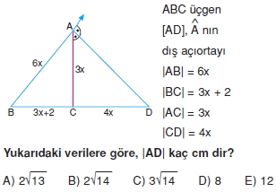 aciortay_kenarortay_cozumlu_test_I_008