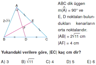 aciortay_kenarortay_cozumlu_test_I_012