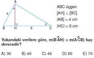 ucgende_aci_kenar_agintilari_konu_testi_3 _006