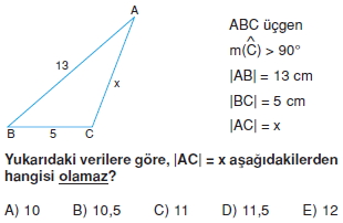 ucgende_aci_kenar_agintilari_konu_testi_6_I_003