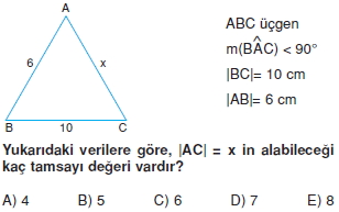 ucgende_aci_kenar_agintilari_konu_testi_6_I_003