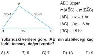 ucgende_aci_kenar_agintilari_konu_testi_6_I_006