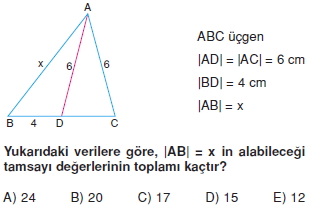 ucgende_aci_kenar_agintilari_konu_testi_6_I_006