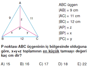 ucgende_aci_kenar_agintilari_konu_testi_6_I_007