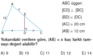 ucgende_aci_kenar_agintilari_konu_testi_6_I_008