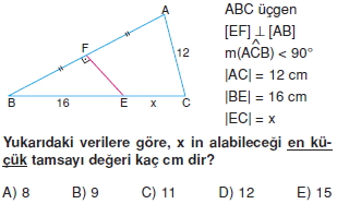 ucgende_aci_kenar_agintilari_konu_testi_6_I_011