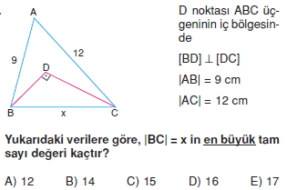 ucgende_aci_kenar_agintilari_konu_testi_6_I_014