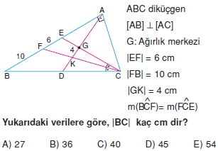 aciortay_kenarortay _konu_testi_10_002