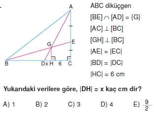 aciortay_kenarortay _konu_testi_10_010