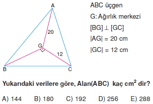 aciortay_kenarortay _konu_testi_10_011