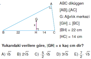 aciortay_kenarortay _konu_testi_10_012