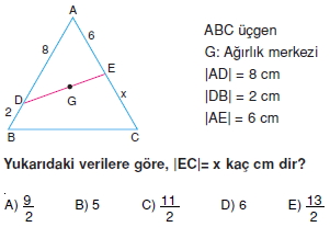 aciortay_kenarortay _konu_testi_10_014