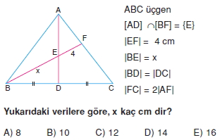 aciortay_kenarortay _konu_testi_11_001