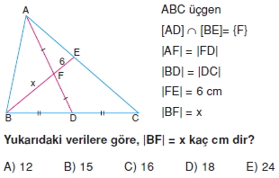 aciortay_kenarortay _konu_testi_11_004