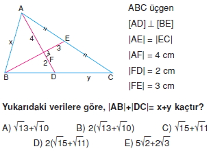 aciortay_kenarortay _konu_testi_11_004