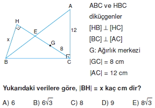 aciortay_kenarortay _konu_testi_11_005