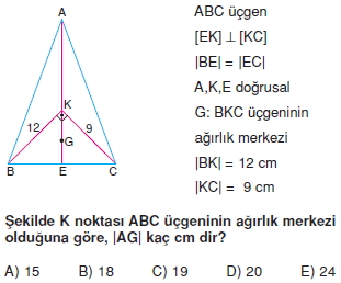 aciortay_kenarortay _konu_testi_11_006