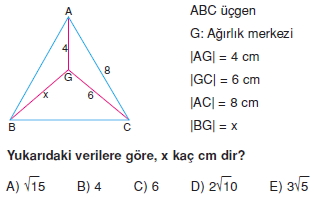 aciortay_kenarortay _konu_testi_11_006