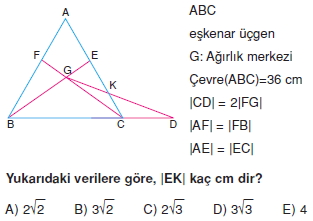 aciortay_kenarortay _konu_testi_11_009