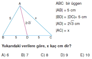 aciortay_kenarortay _konu_testi_11_009