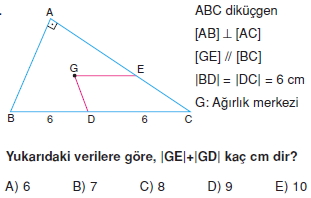 aciortay_kenarortay _konu_testi_11_010