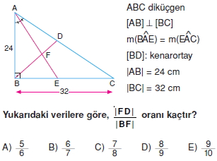 aciortay_kenarortay _konu_testi_11_011