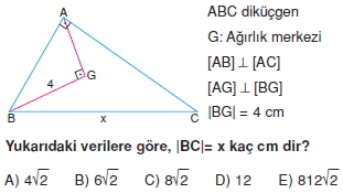 aciortay_kenarortay _konu_testi_11_011